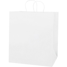 White Paper Shopping Bags
