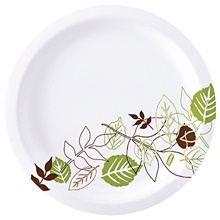 Dixie® Paper Plates - 10 1/4" Heavyweight, White