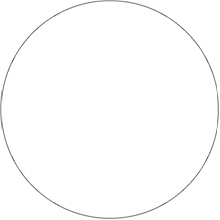 3" Circles - Clear Removable Labels