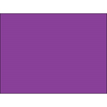 3 x 4" Purple Inventory Rectangle Labels