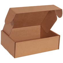 Kraft Deluxe Literature Mailer