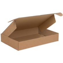 Kraft Deluxe Literature Mailer