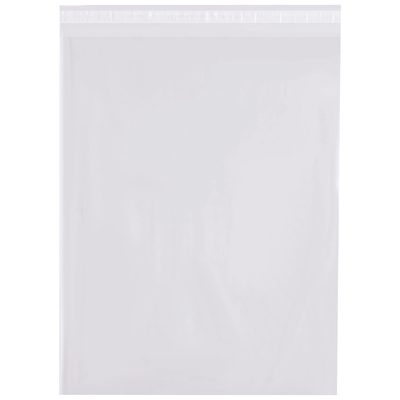 Poly Bags (500/Case)